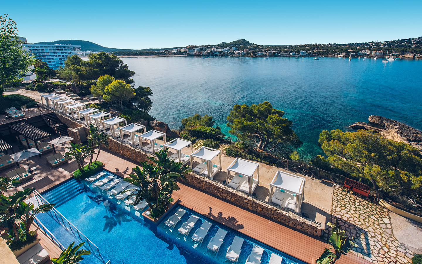 dynamic-detox-gallery-0