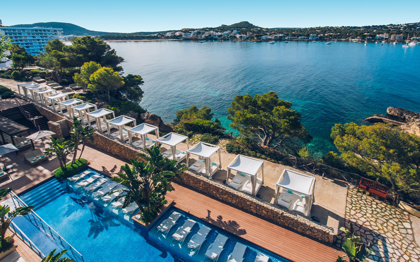 dynamic-detox-gallery-1