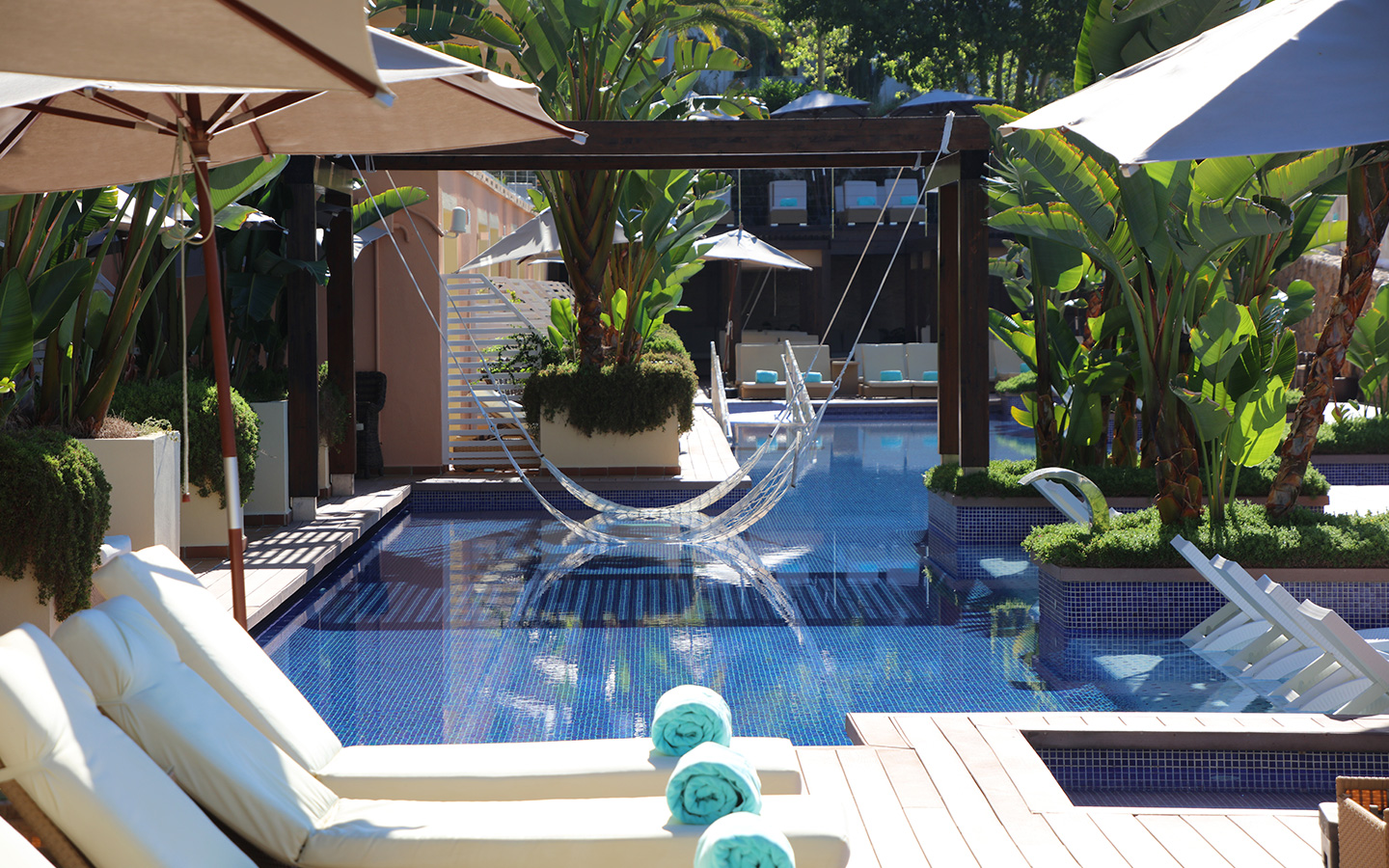 dynamic-detox-gallery-10