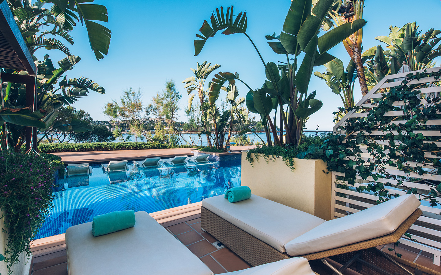 dynamic-detox-gallery-7